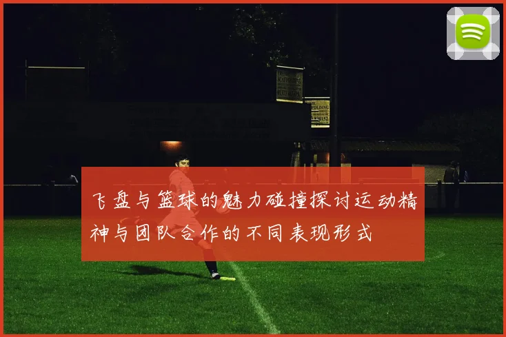 飞盘与篮球的魅力碰撞探讨运动精神与团队合作的不同表现形式