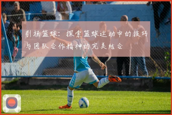 引杨篮球：探索篮球运动中的技巧与团队合作精神的完美结合