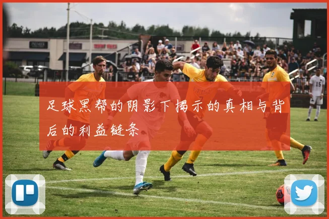 足球黑帮的阴影下揭示的真相与背后的利益链条