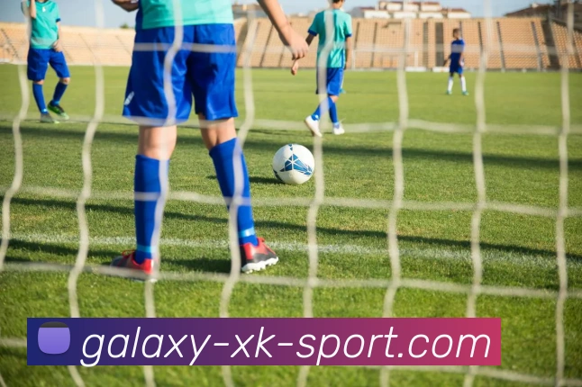 星空体育官方网站平台生态图