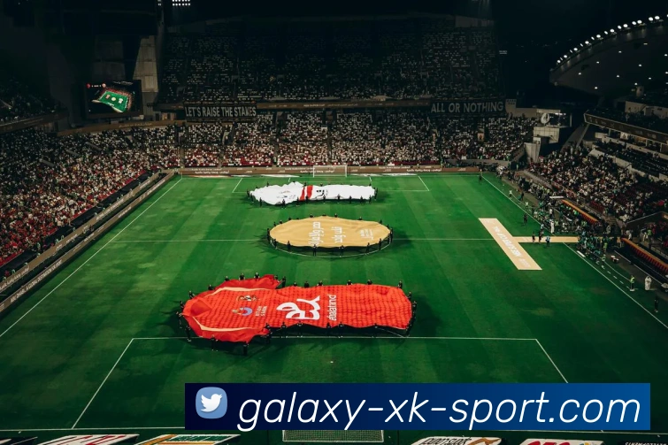 星空体育官方网站APP 封面图